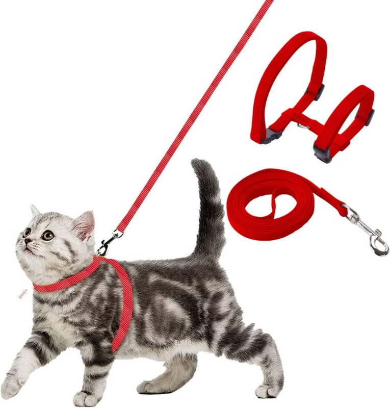 Buraq Cat Harness Full Body With Leash Set - For Walking | Escape Proof Cat Buckle Harness(Medium, RED)