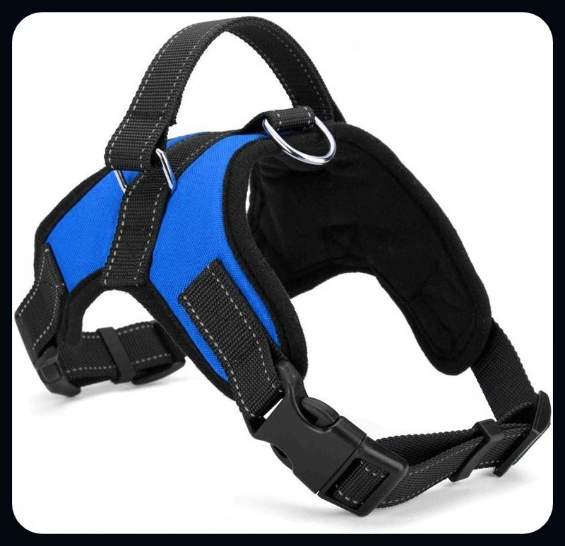 ALCAZAR No-Pull Dog Harness Chest Body Belt for Small Dogs Girth inch 17”-20” Blue Dog Buckle Harness(Small, Blue)