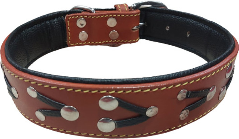 shagul dog belts collar premium leather ten color size medium & large Dog Everyday Collar(Medium, TEN)