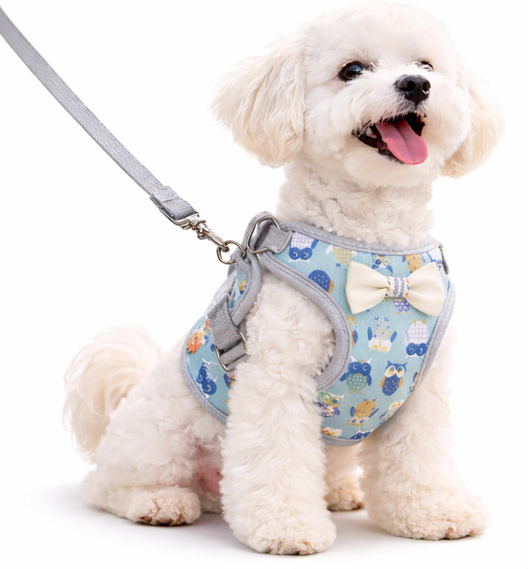 tinyfingers Dog & Cat Harness & Leash(Medium, grey)