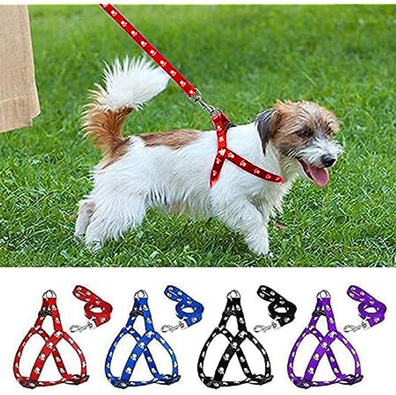 SSToysStore Puppy Nylon 15mm Harness with Leash Set for Small & Medium (Color May Vary) Dog & Cat Harness & Leash(Small, Red)