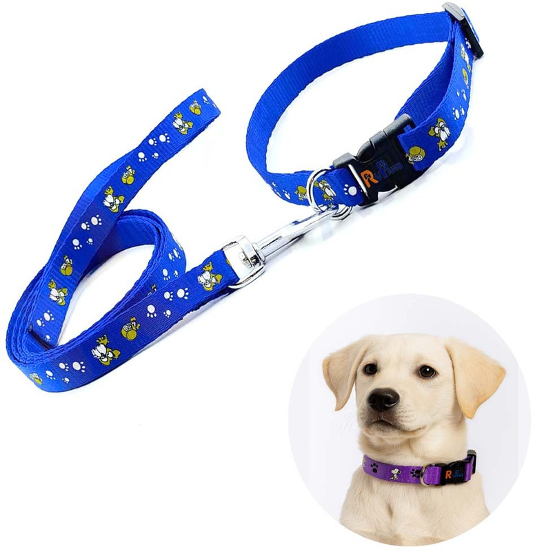 Rvpaws 15mm Soft, Durable & Adjustable Collar with Bell & Leash for Small Dog & Puppies Dog & Cat Collar & Leash(Small, Multicolor)
