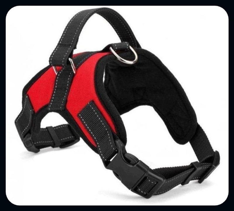 ALCAZAR 213 Body Belt Rope Combo Dog & Cat Safety Harness(Extra Large, Red)