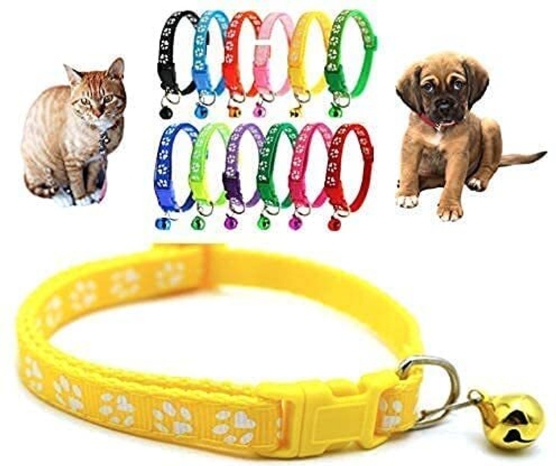 OM ZEE Pet Collar charm nylon collar Plain Dog & Cat Collar Charm(Multicolor, Solid)