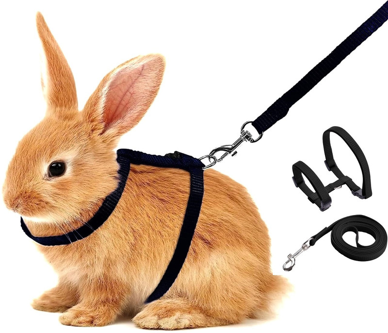 DOSAN Cat Harness Leash Nylon Set for Cat Rabbit Kitten BODYBELT Strap Training Lead Cat Harness & Leash(Medium, Black)