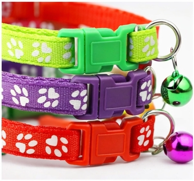 Simba's Cat Everyday Collar(Medium, Multicolour)