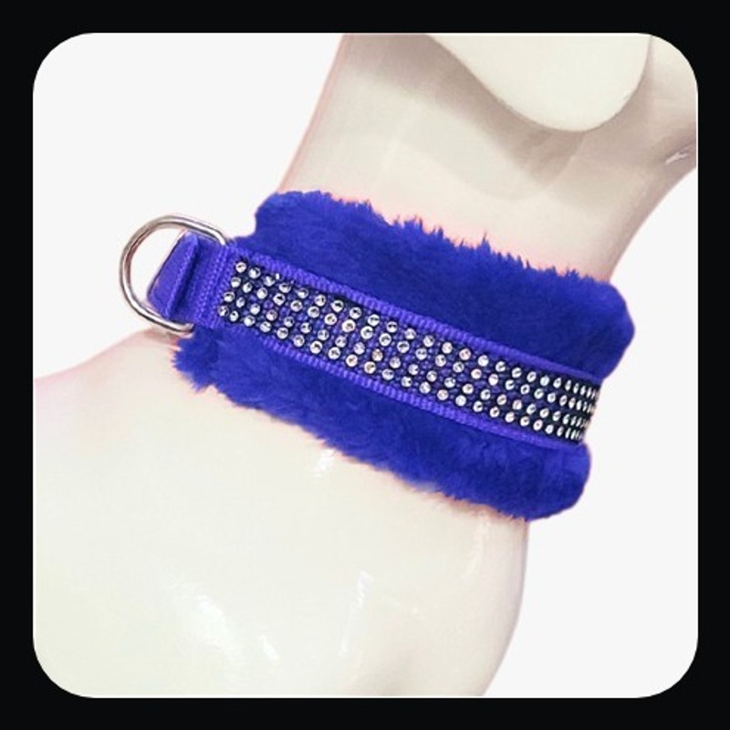 Daviloss Paws Dog & Cat Everyday Collar(Large, Blue)