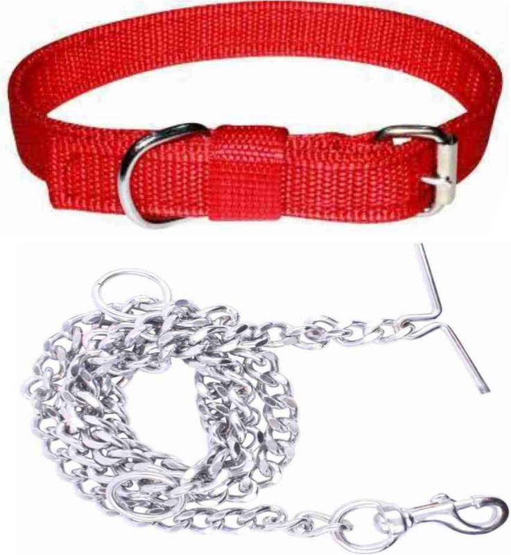 DRK Shop Mart Dog Belt Combo for Medium Dogs Dog Collar & Chain(Medium, red)