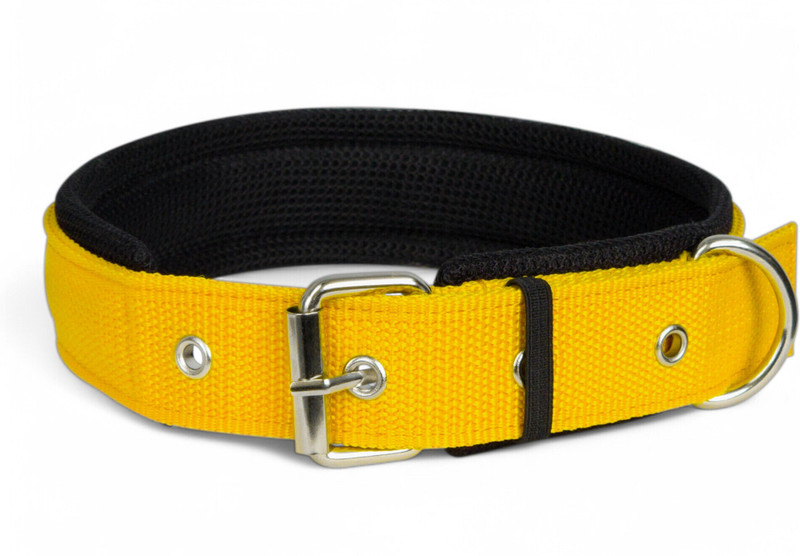 TRUE DAWG Premium Soft Padded Dog Belts for Medium Breed Dogs (Neck Size: 14.5"-19") Dog Everyday Collar(Medium, Yellow)