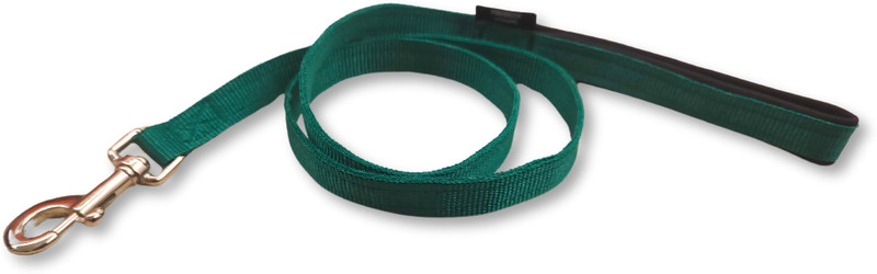 maverick straps Leash 20mm Dog & Cat Leash(Medium, Green)