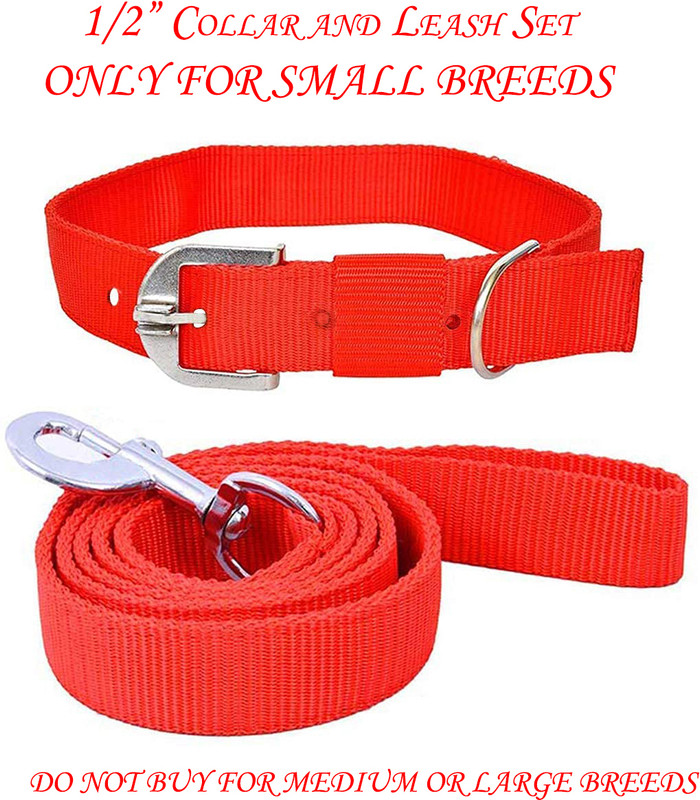 THE DDS STORE Dog Collar and Leash Dog Belt Combo Specially for Medium Breeds Dog -Red Dog & Cat Collar & Leash(Medium, RED)