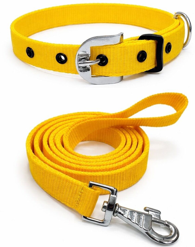 AASHI OVERSEAS Aashi Overseas Dog Collar and Leash | Dog Belt | Adjustable Collar CL_YLO_XL Dog Collar & Leash(Extra Large, Yellow)