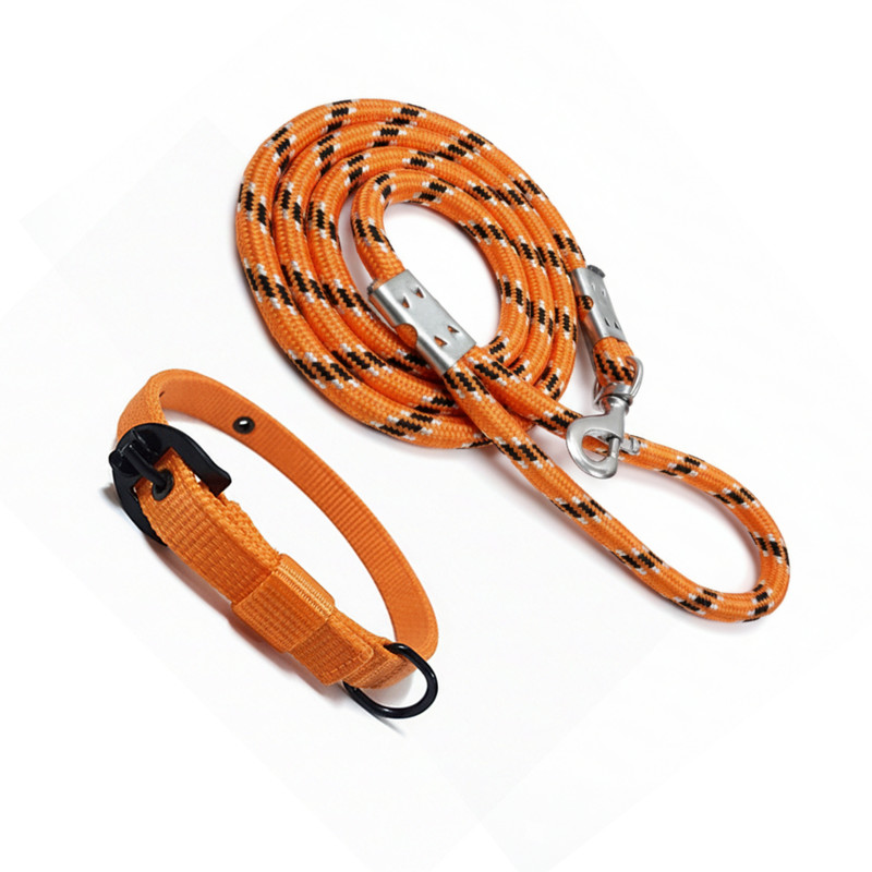 pethubmart Best dog belts & dog collar for small & medium dog (collar 0.75 inch, belt 10mm) Dog & Cat Collar & Leash(Medium, Yellow)