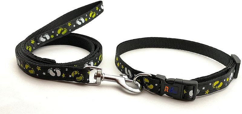 Rvpaws Adjustable Printed Nylon Collar and Leash Set for Puppy, Dog & Cat 10MM (Blue) Dog & Cat Collar & Leash(Extra Small, Blue)