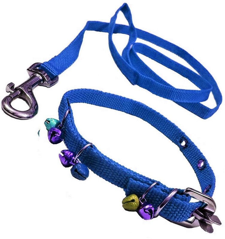 Sip Nylon Puppy Dogs, goat, Bakri, rabbit, khargosh Collar Belt and Leash Dog Collar & Leash(Small, Blue)