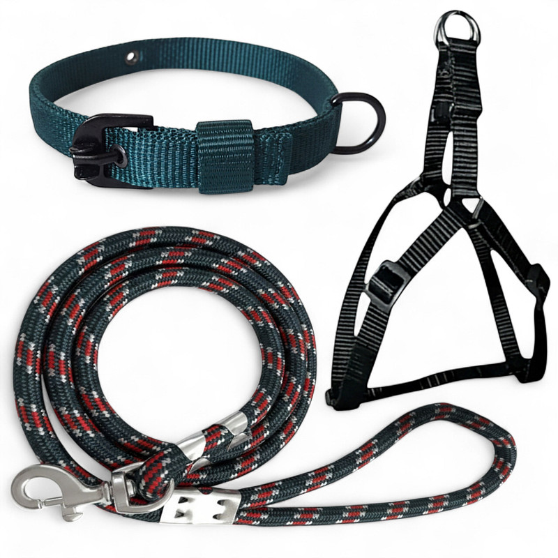 pethubmart Dog harness, dog collar (0.75 inch) & Dog Belt (10mm) for small & medium dogs. Dog & Cat Collar & Leash(Medium, Dark Green, Black)
