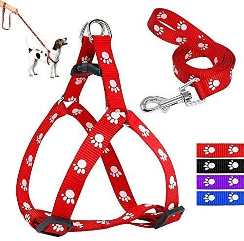 PetJoy 15 mm Paw Print Harness & Leash Set for Small & Medium Dogs-Color May Vary, Dog Harness & Leash(Medium, Multicolor)