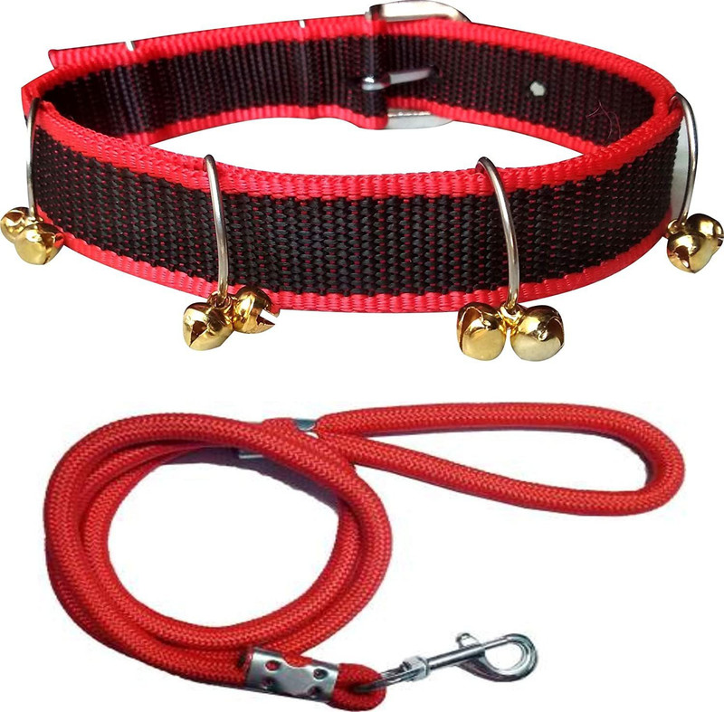 Petzoto Good Nylon Belt Combo of Ghungroo Collar With Leash Dog Collar & Leash Belts Dog Collar & Leash(Small, Green)