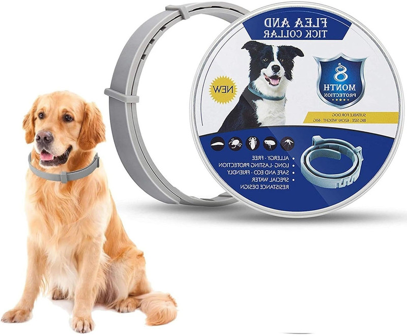 SKYBUCKET All Breeds Made with Natural Ingredients Dog Flea & Tick Collar Dog & Cat Anti-tick Collar(Large, Gray)