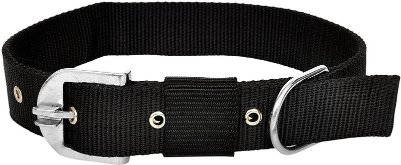 ADIOS Good Quality Nylon 1 inch Black Dog Collar, Dog Belt Neck Size 38cm to 48cm Dog Everyday Collar(Medium, 1 inch Black Collar)