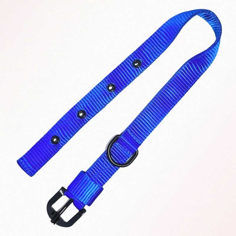 AS TOYS AS TOYS 1-Inch Nylon Fancy Collar For Dogs, Puppies & Cats.(Blue, Pack Of 1) Plain Dog & Cat Collar Charm(Blue, Round)