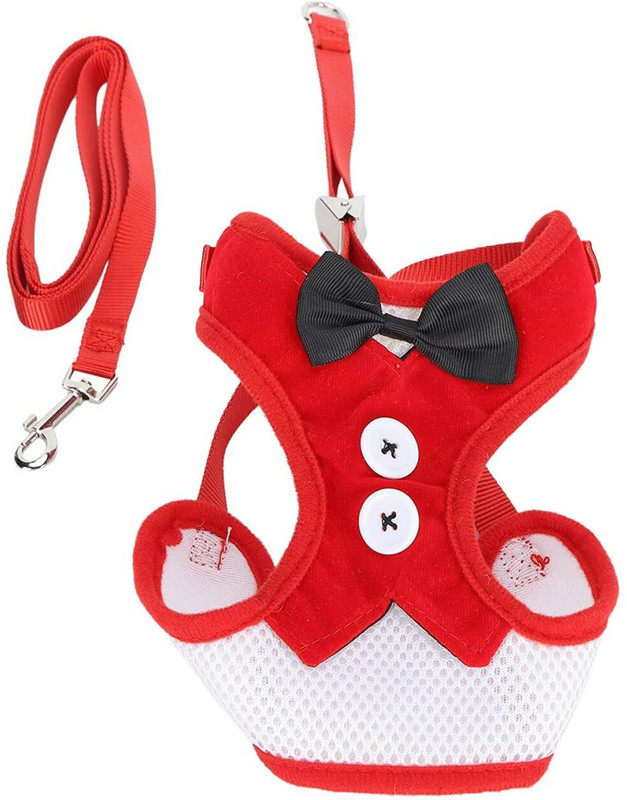 FLOSTRAIN Dog & Cat Harness & Leash(Medium, multicolor)