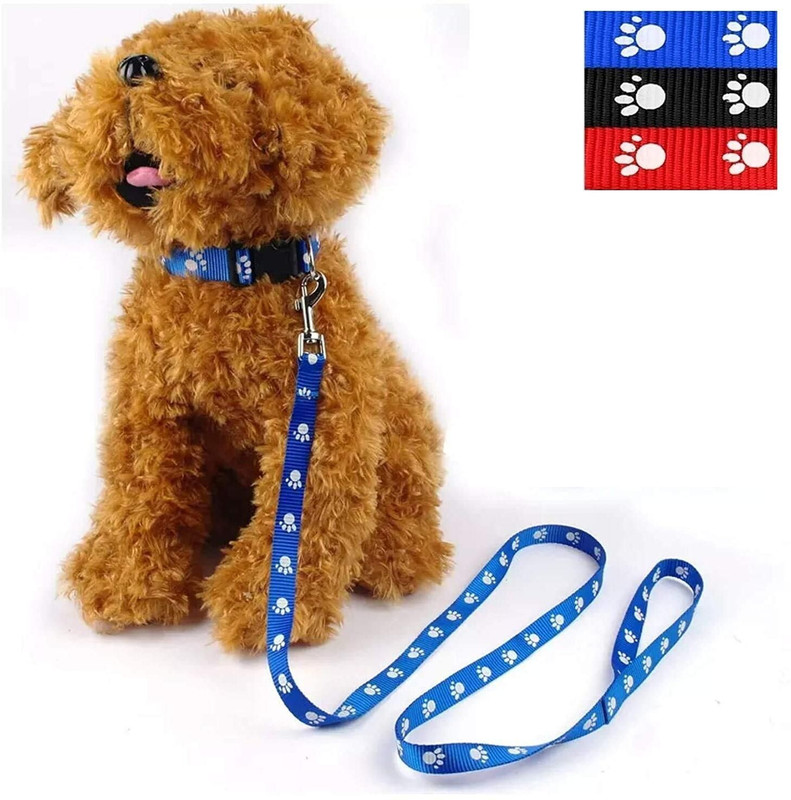 S.Blaze 10MM Paw Print Cat & Puppy Dog ( Use for 3 to 10 Kg) Dog & Cat Collar & Leash(Small, Multi Color)