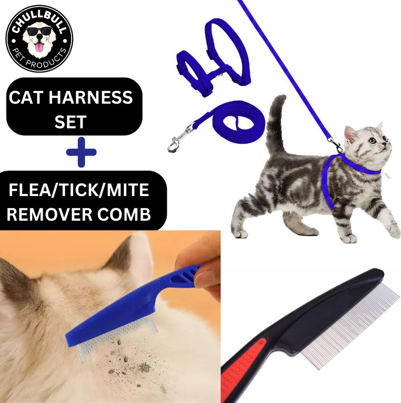 chullbull pet products Cat Harness & Leash(Extra Small, BLUE)