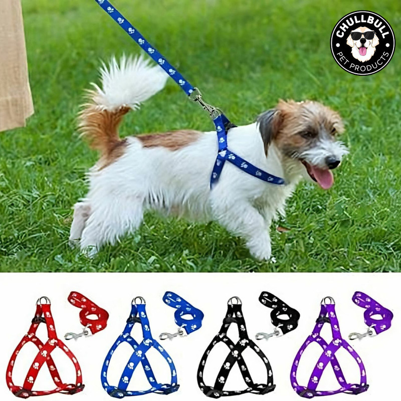 chullbull pet products 1 pcs 15 mm Paw Print Leash and Harness Set for Small ,Medium Puppy Dog & Cat Harness & Leash(Extra Small, MULTICOLOR)