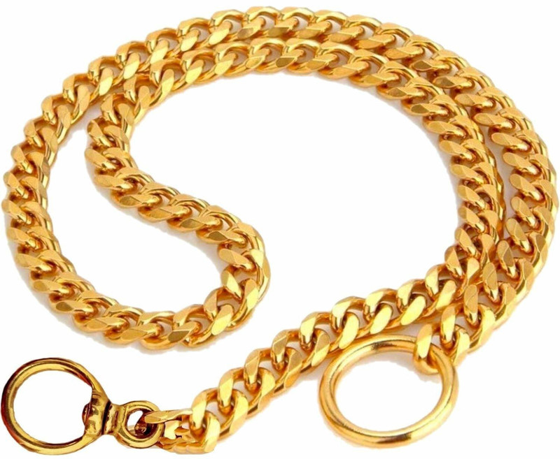 Petstorez Dog & Cat Choke Chain Collar(Medium, Gold)