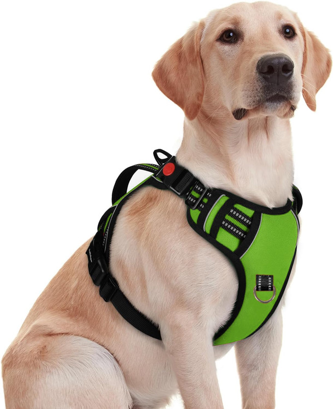 Pawxie Dog Chest Belt Harness | Comfortable & Adjustable Size For 14-23 Kg Pet Dog Standard Harness(Medium, GREEN)