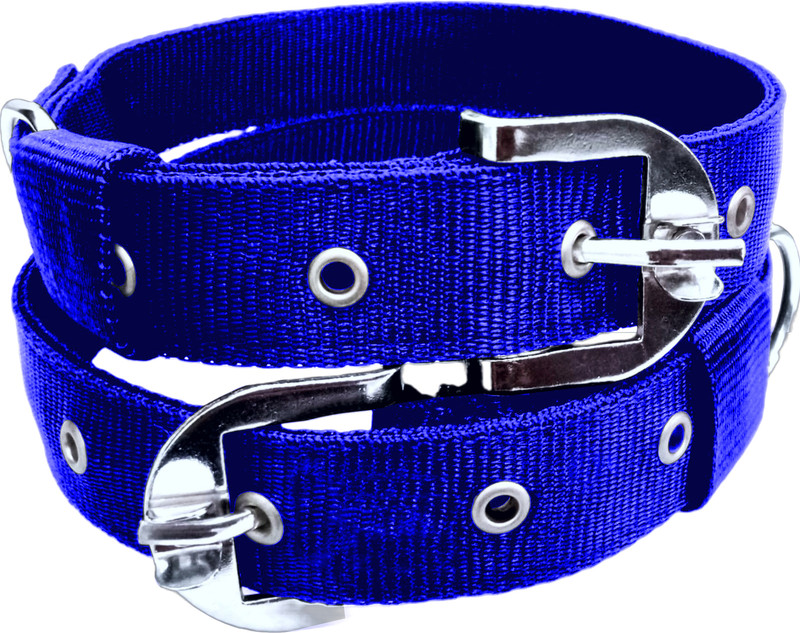 chullbull pet products Neck Collar Belts for Dog 1.25 inch Collar Belt for Dog -Blue (Pack of 2) Dog Everyday Collar(Large, BLUE)