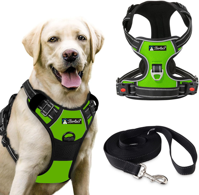 Berlin's Double-Sided Pro Dog Harness–Adjustable, Reflective & Safety No-Pull Pet Harness Dog Collar & Leash(Extra Large, Parrot Green)