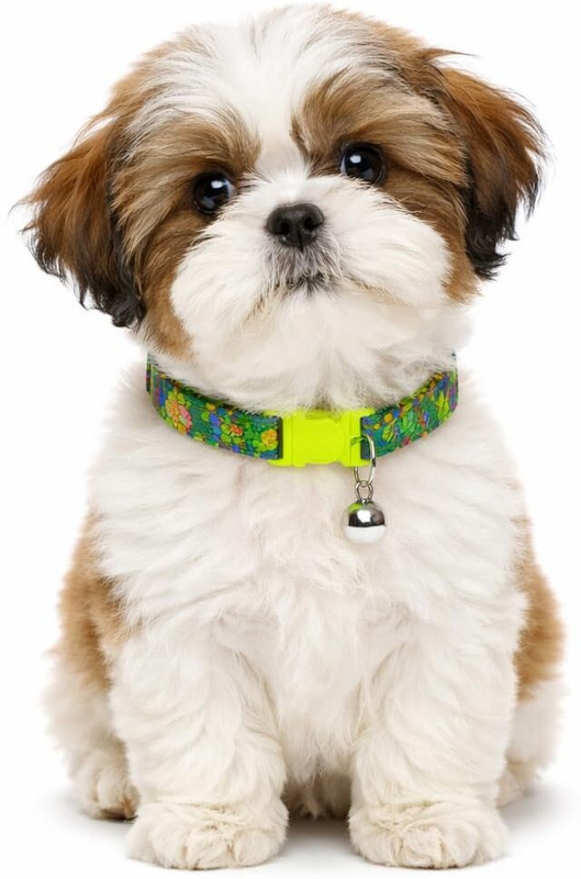Emily Pets Plain Dog & Cat Collar Charm(Multicolor, Other)