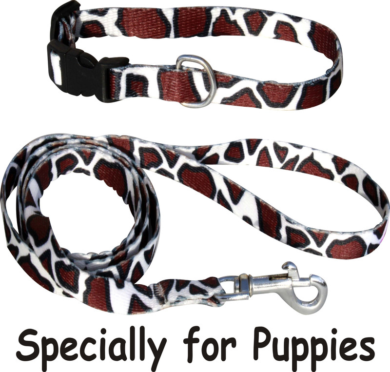 ADIOS Adjustable Soft Nylon Reflective Stripe Dog Collar & Leash Set with Bell for Dog & Cat Collar & Leash(Small, BLUE)