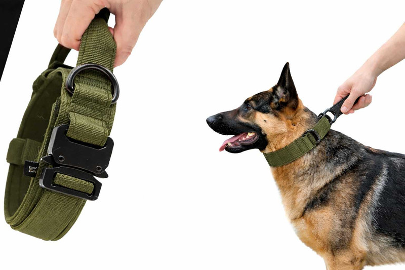 Pawxie Dogs Collar Adjustable Nylon Tactical Collar with Strap Handle Training Dog Everyday Collar(Large, Olive Green)