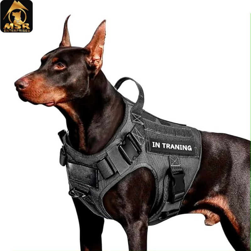 MSR ENTERPRISES Dog Training Harness(Medium, Black)