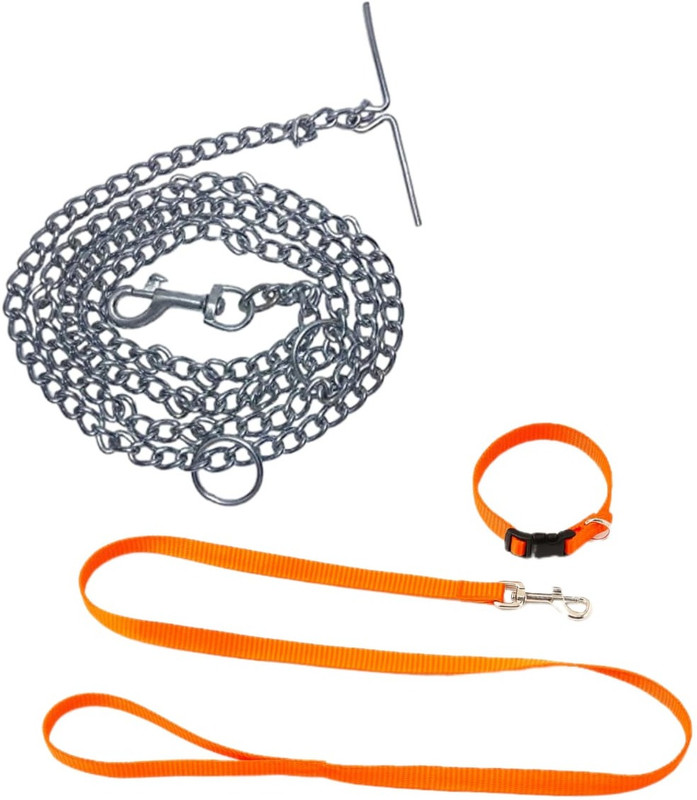 PETRA Puppy Orange Leash Collar set with Heavy Iron Chain for small size puppy combo Dog & Cat Collar & Leash(Small, Orange)