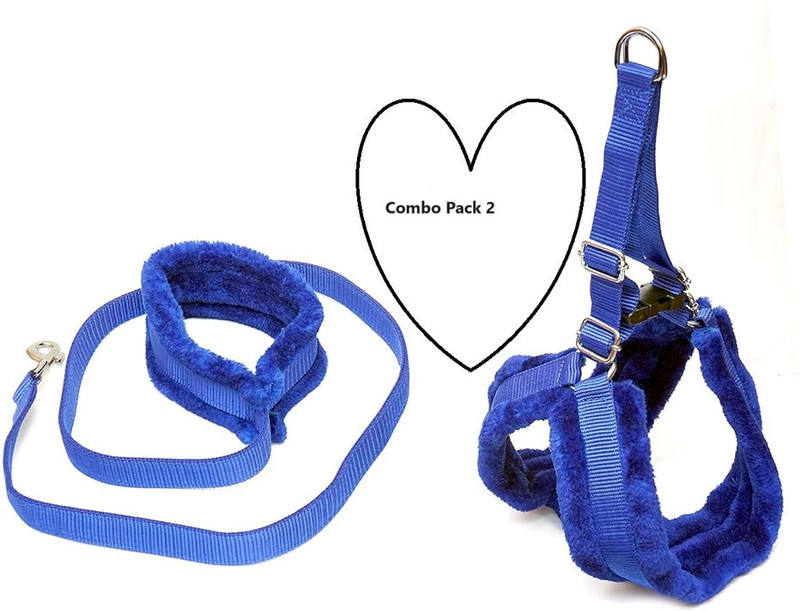 Aftra Dog & Cat Harness & Leash(Extra Small, Blue)