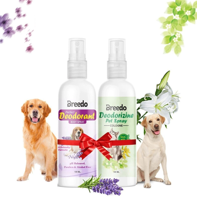 Breedo Best Quality Dog (Pack of 2) Odor Dog Deodorant Perfume + Deodorizine Perfume Natural Cologne(200 ml)