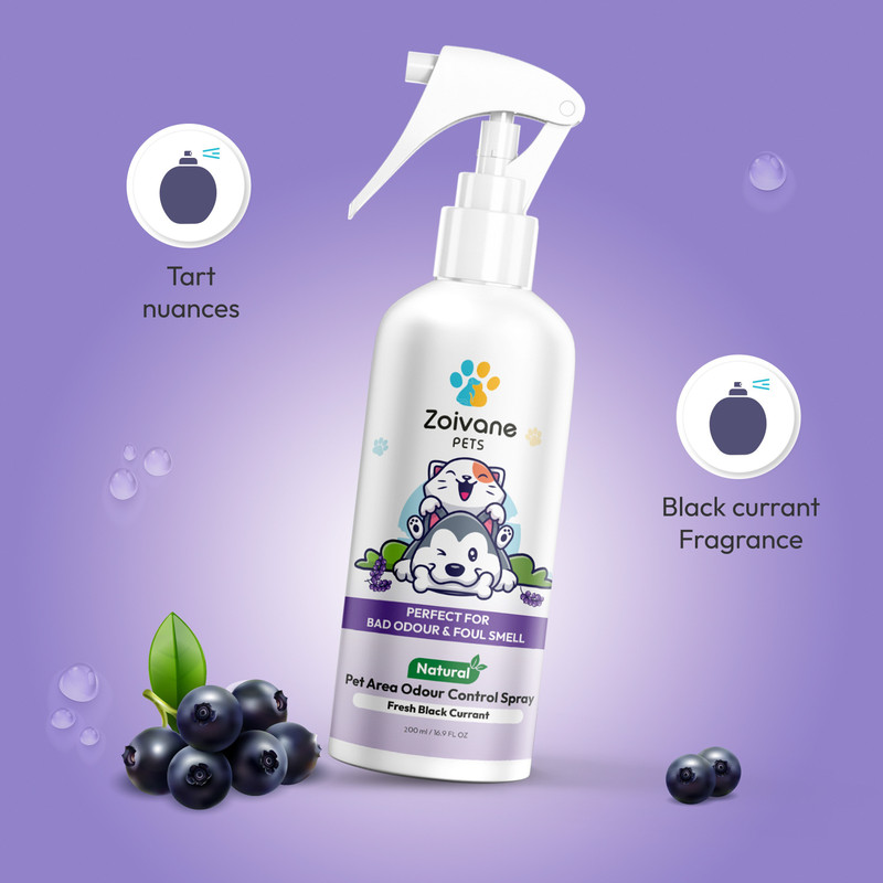 Zoivane Pet Area Odour Control Spray (Black Current)& Floral Nuances Powder | Combo Pack Rose Floral & Black Current Cologne(200 ml)