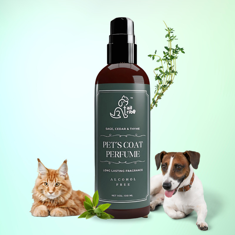 tail tribe Pets Coat Perfume Cedar Sage and Thyme Cedar, Sage & Thyme Cologne(100 ml)