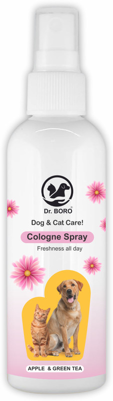 DR. Boro Apple & Green Tea Deodorizer(100 ml, Pack of 1)