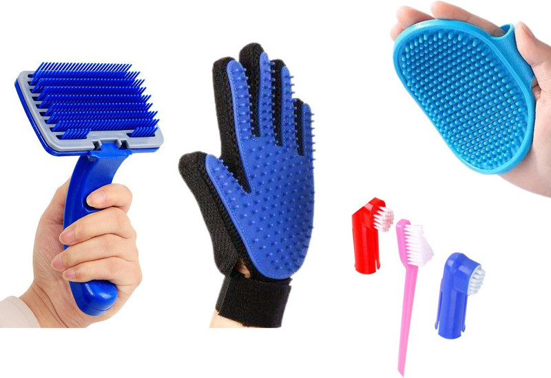 Regiis DogbathBrush + Gloves + SlickerBrush + Tootbrush (Box of 4 for your pet) Basic Comb for Dog & Cat