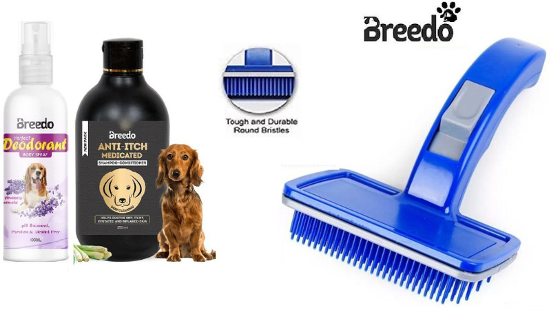 Breedo (Combo Of 3) Imported Dog Slicker + Anti-Itch Shampoo + Deodorant Spray Basic Comb for  Dog & Cat, Dog, Monkey, Rabbit, Hamster