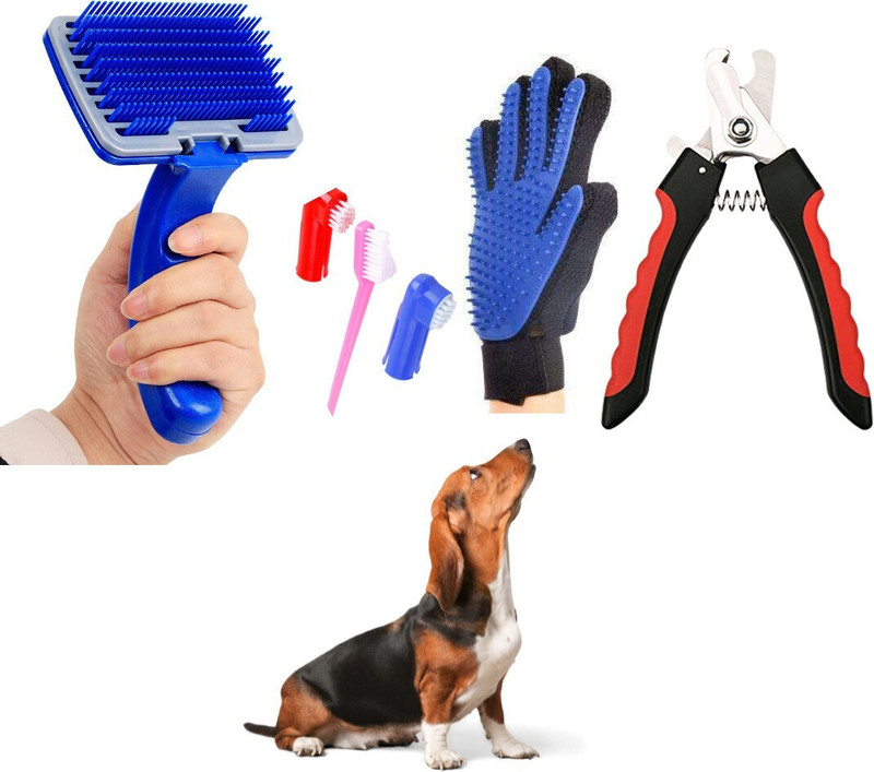 Regiis Dog Combo of 4 ( Slicker Brush + Toothbrush + Glove + Nail Clipper ) Grooming Gloves for Dog & Cat(Multicolor, Medium)