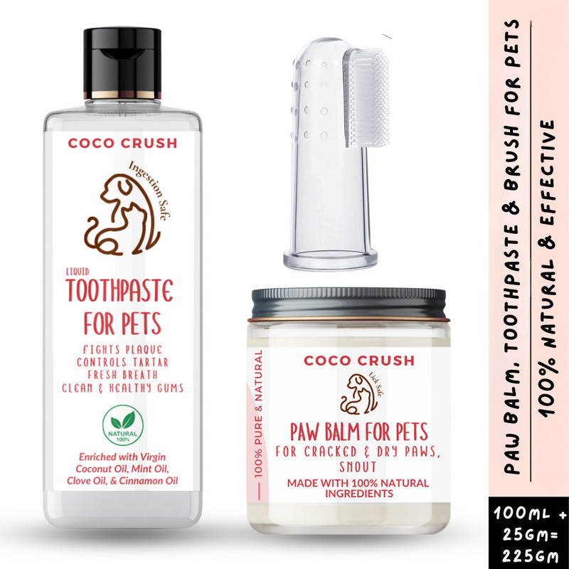 COCO CRUSH 100ml Liquid Toothpaste, 1 Toothbrush, & 25g Paw Balm for Pets | 100% Natural Pet Conditioner(125 ml)