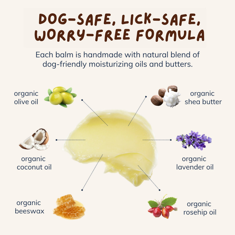 COCO CRUSH Paw Balm for Dogs, Cats - 100% Natural Care for Cracked, Dry Paws, & Snout | 25g Pet Spa Kit