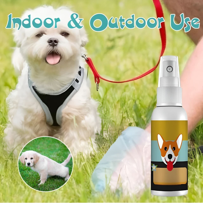 SCENTORA Dog Bathroom Trainer Spray | Quick-Acting Potty Attractant | Perfect for Puppies Pet Housebreaking Spray | Indoor & Outdoor Potty Training Cologne(100 ml)