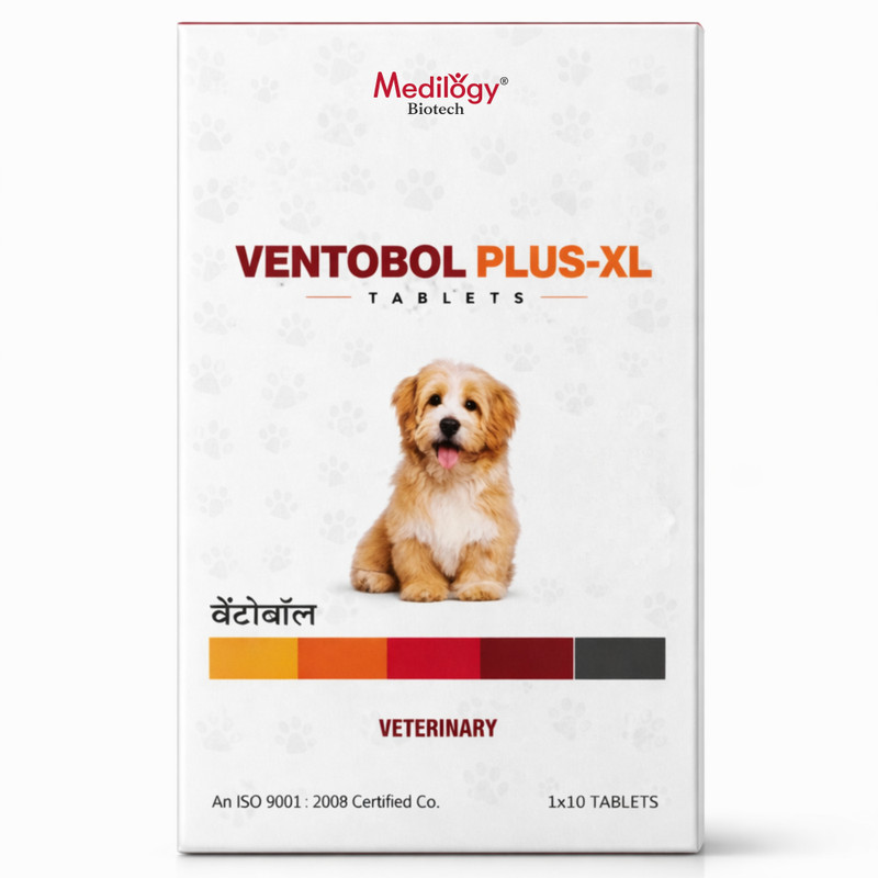 Medilogy Biotech Ventobol Deworming Tablet for Dogs (Above 35 kg) Pet Dewormer(Dogs)